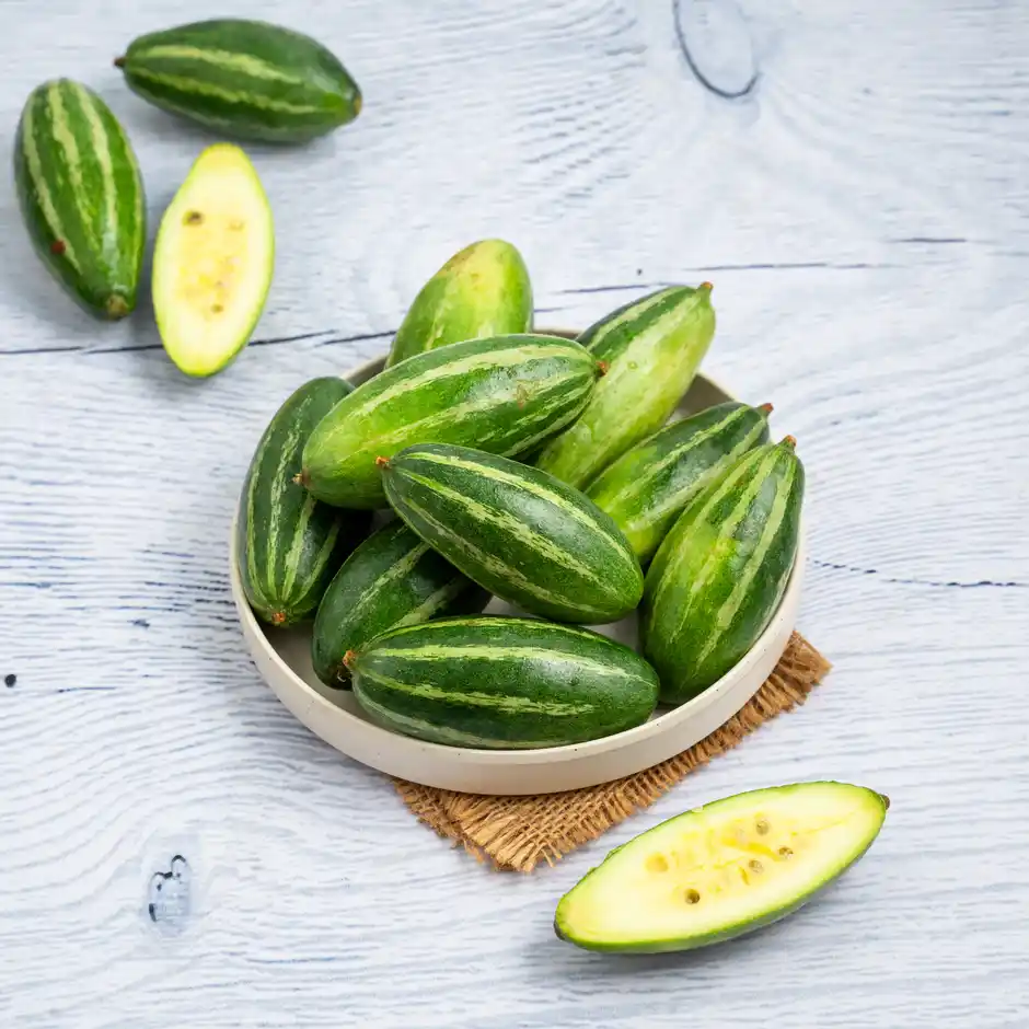 Pointed Gourd