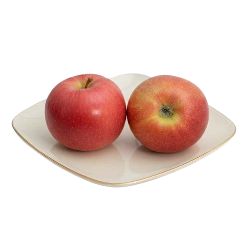 Bloom Apple Shimla